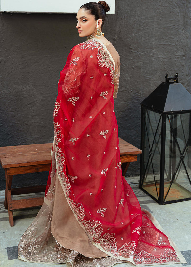 Daud Abbas | Formals Collection | Nihal - House Of Anaya