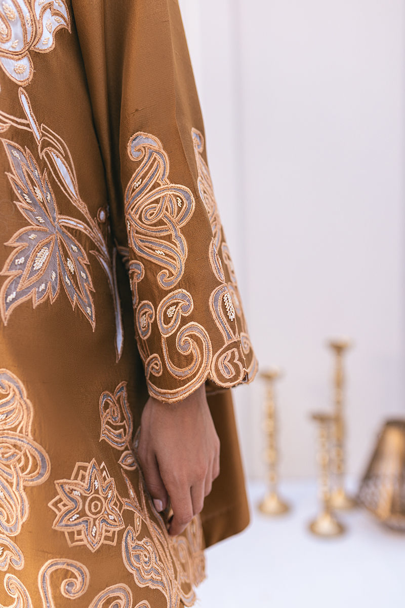 Ansab Jahangir | Luxe Pret Signature | MOCHA - House Of Anaya
