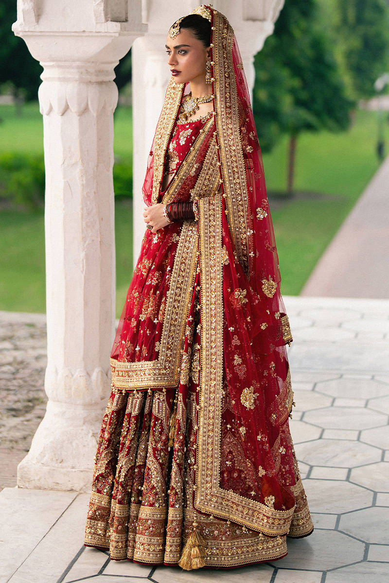 MNR | Zarlish Festive Stitched Vol VI | BIA JAAN