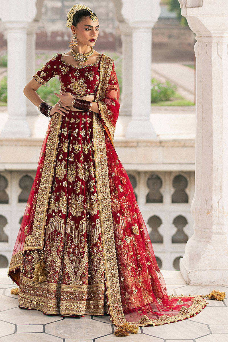 MNR | Zarlish Festive Stitched Vol VI | BIA JAAN