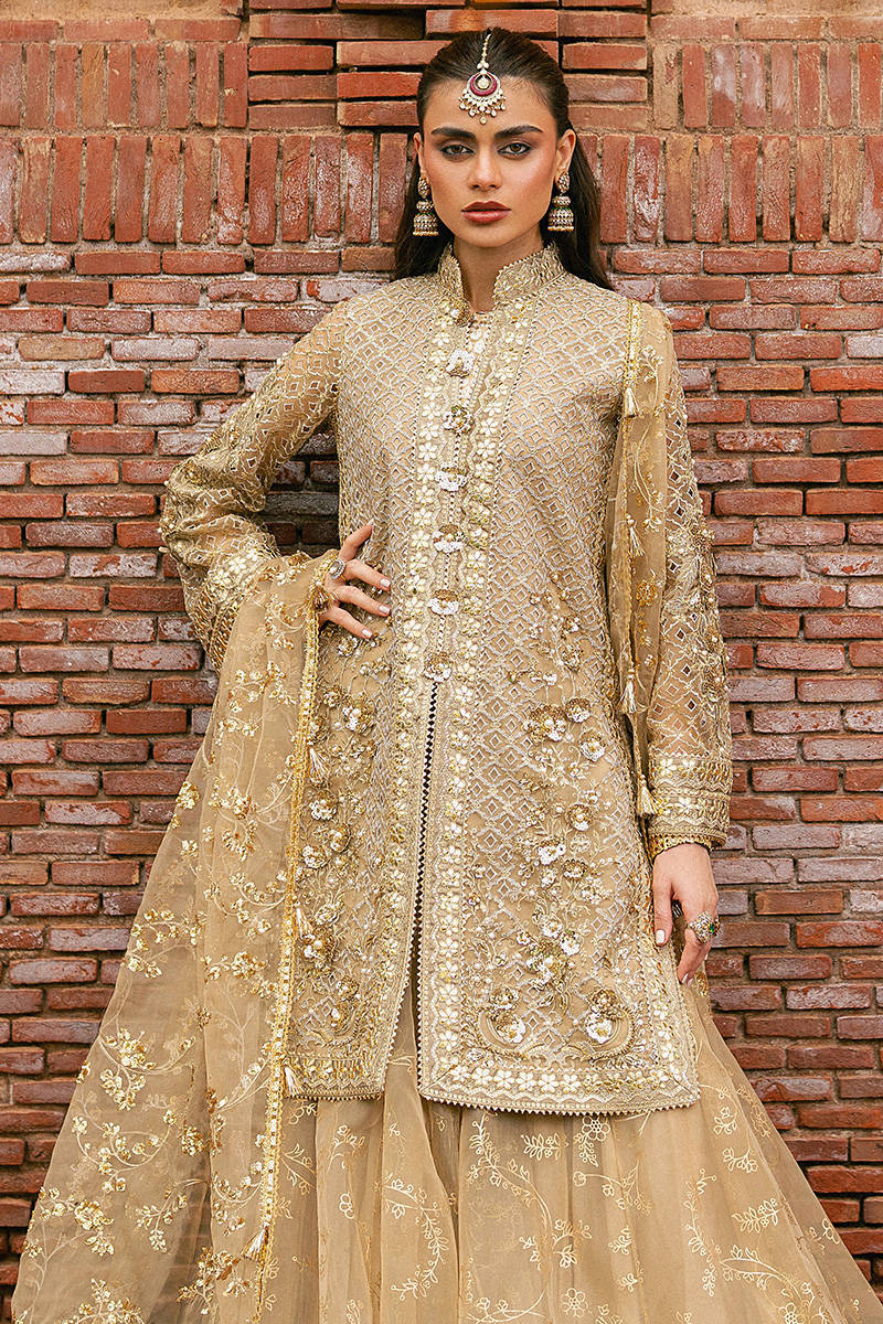 MNR | Zarlish Festive Stitched Vol VI | ROSHNI