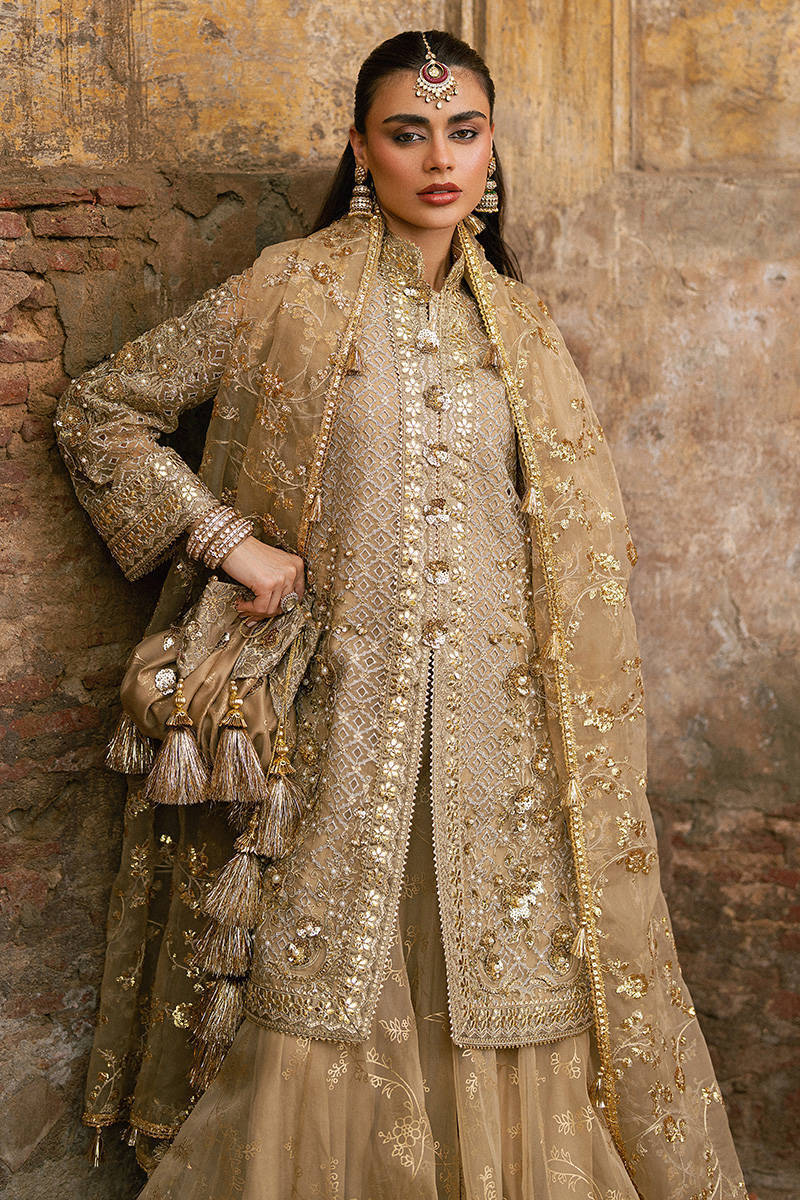 MNR | Zarlish Festive Stitched Vol VI | ROSHNI