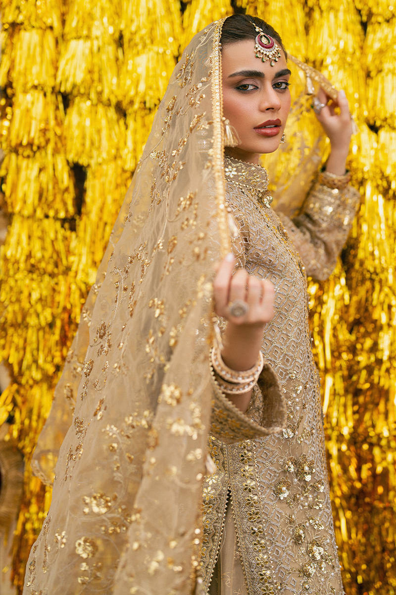MNR | Zarlish Festive Stitched Vol VI | ROSHNI