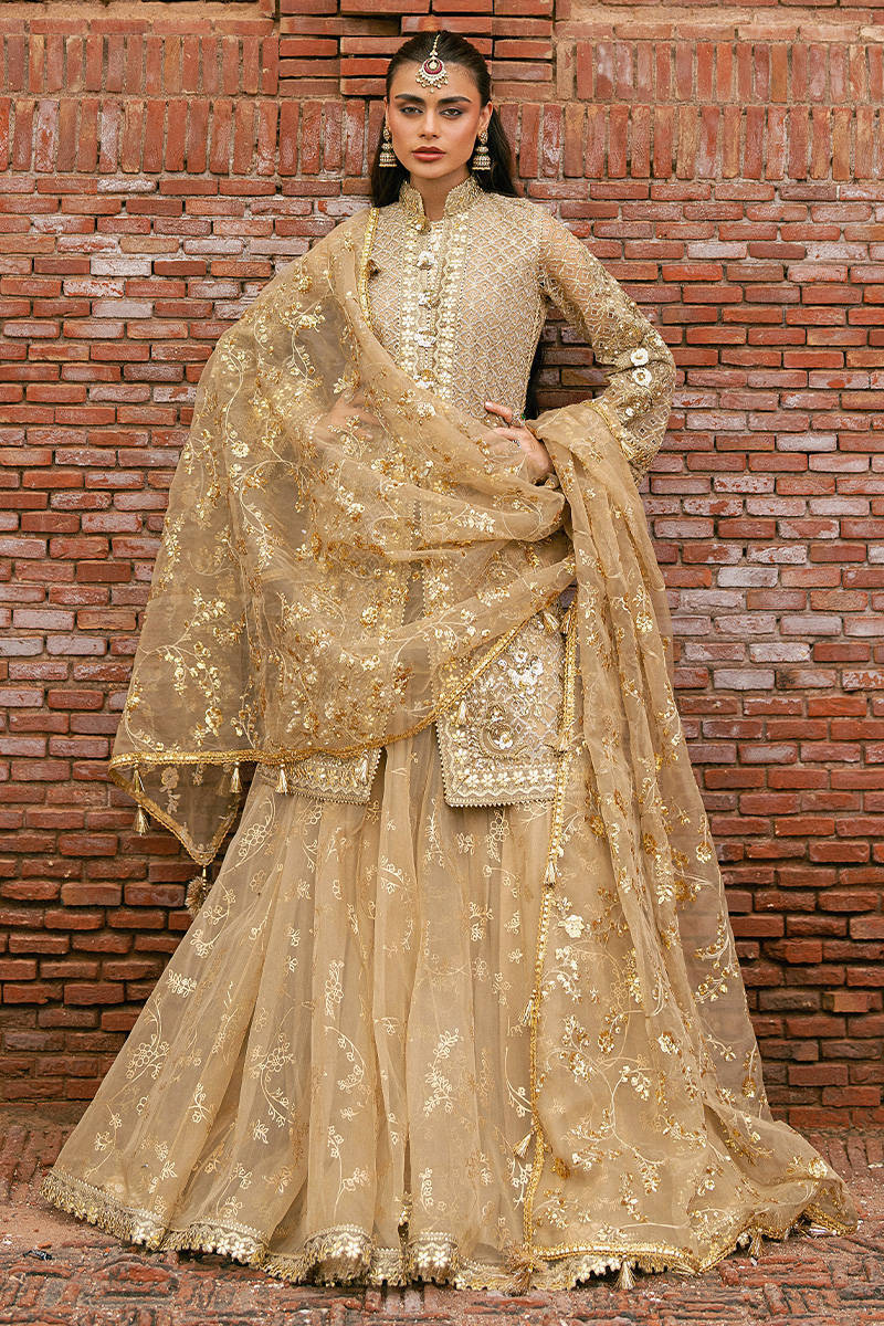 MNR | Zarlish Festive Stitched Vol VI | ROSHNI