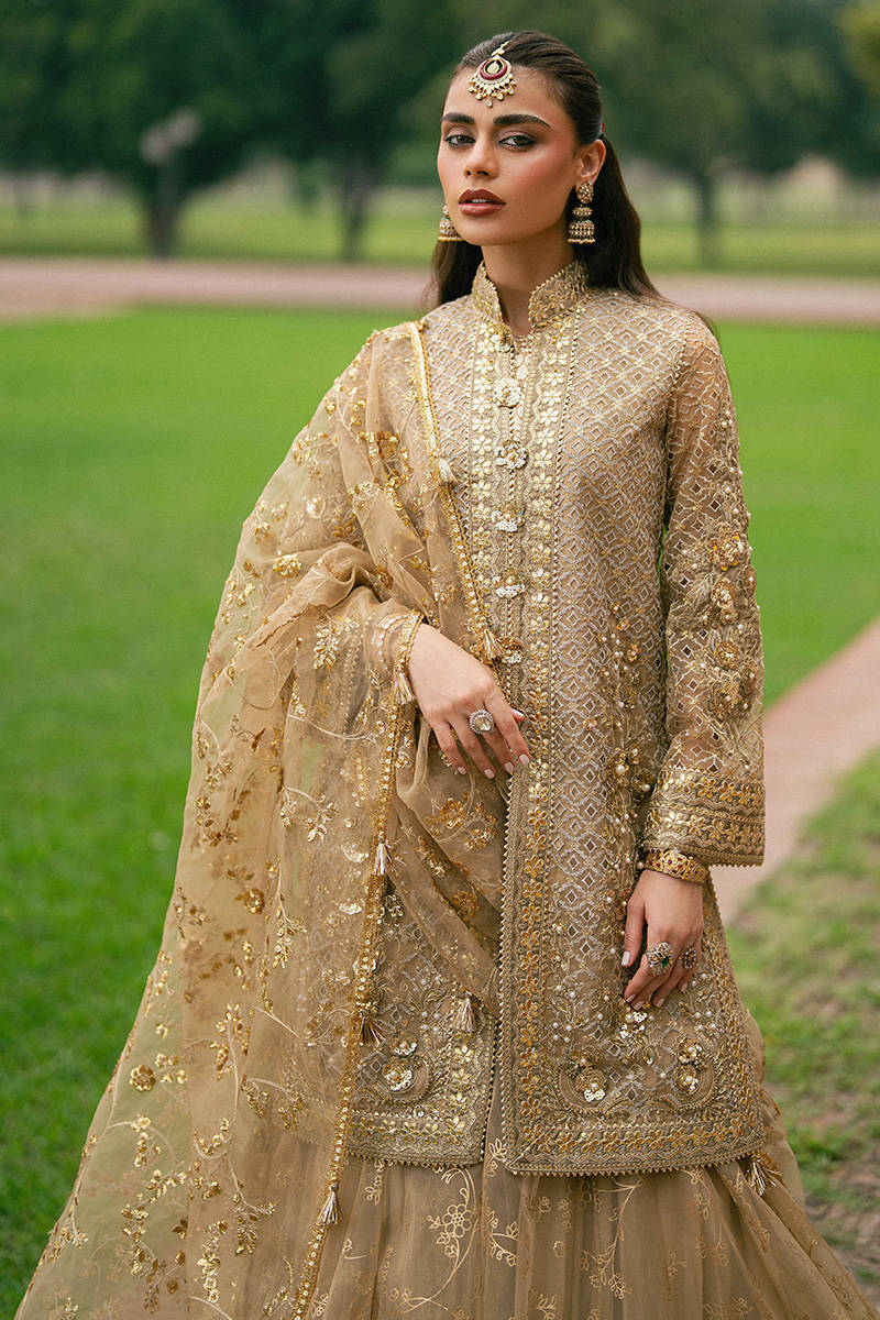 MNR | Zarlish Festive Stitched Vol VI | ROSHNI
