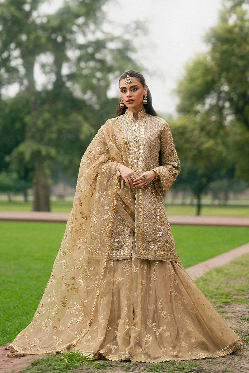 MNR | Zarlish Festive Stitched Vol VI | ROSHNI
