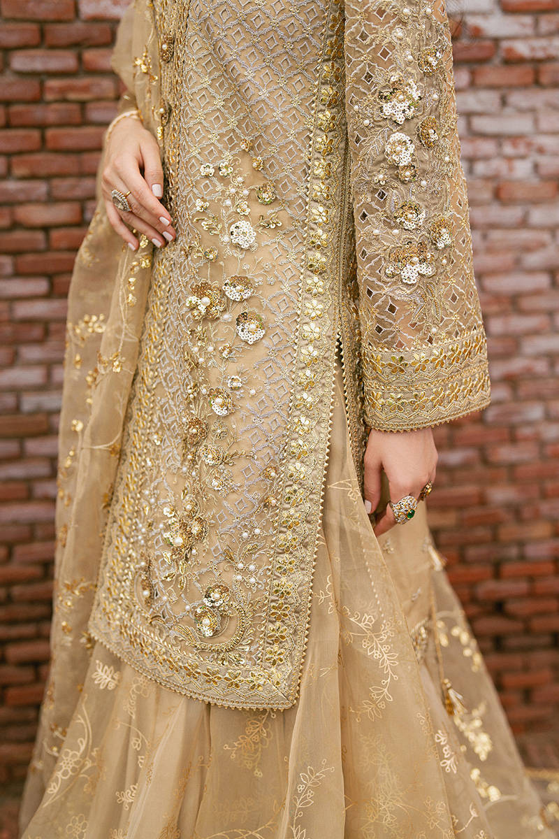 MNR | Zarlish Festive Stitched Vol VI | ROSHNI