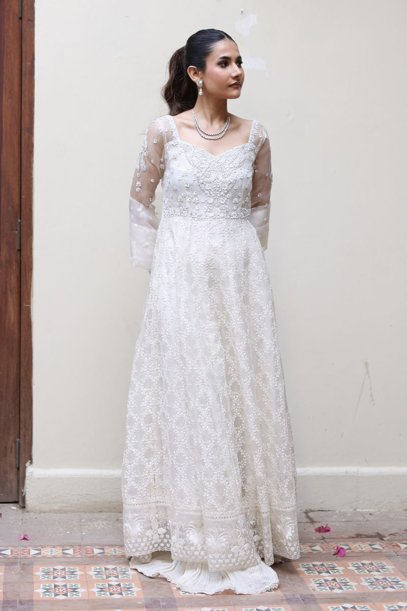 Ansab Jahangir | Eid Luxe Pret 25 | Elenora