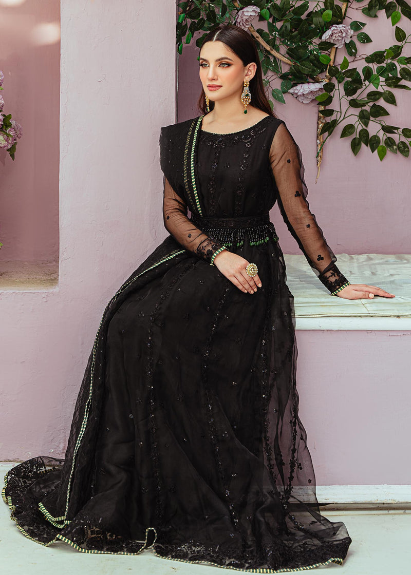 Daud Abbas | Formals Collection | Ziva - House Of Anaya