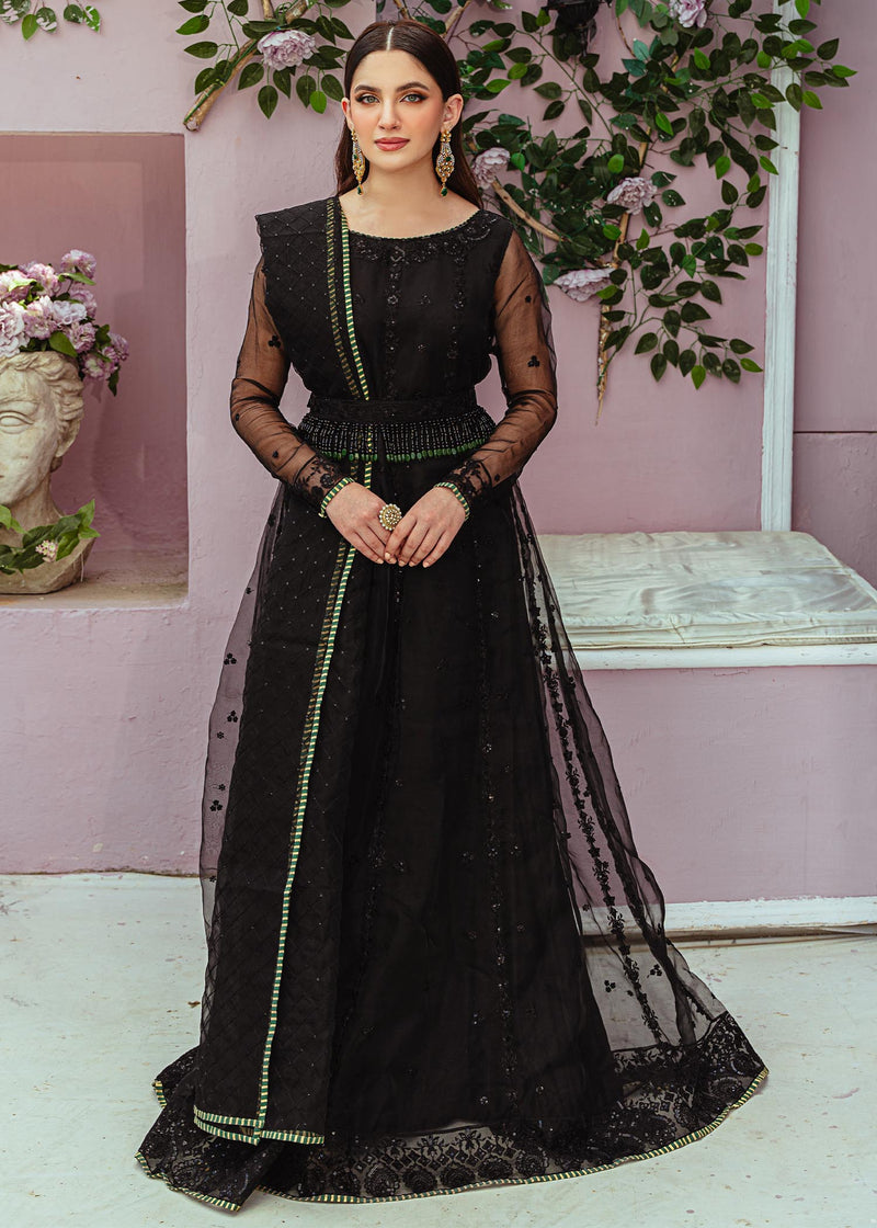 Daud Abbas | Formals Collection | Ziva - House Of Anaya
