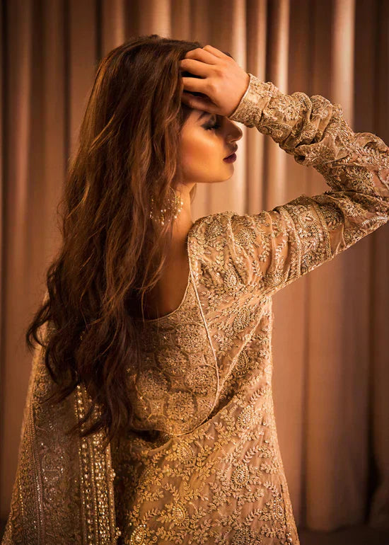 HSY | Rehana Collection 2023 | Ulfat - Riwayat-e-Khas