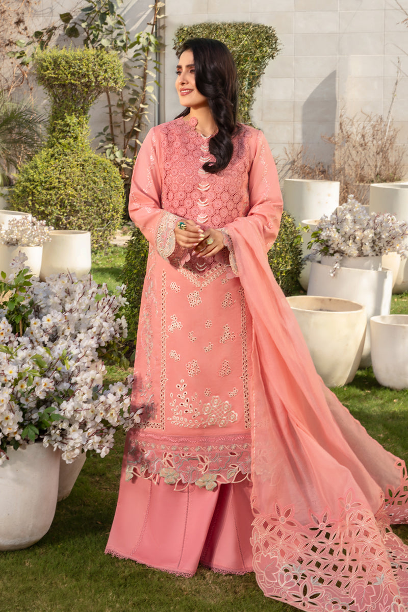 Rangrasiya | Premium Collection 24 | PARISA
