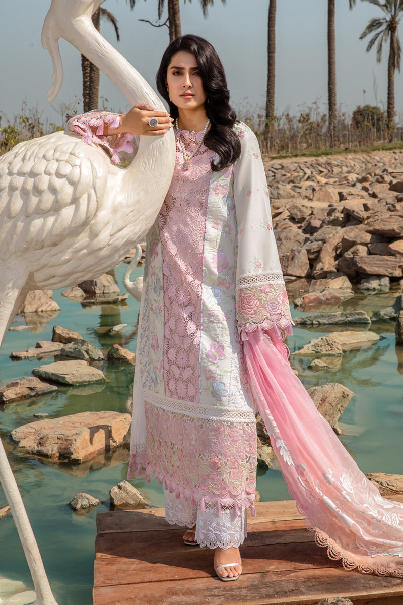 Rangrasiya | Premium Collection 24 | HOORIAN