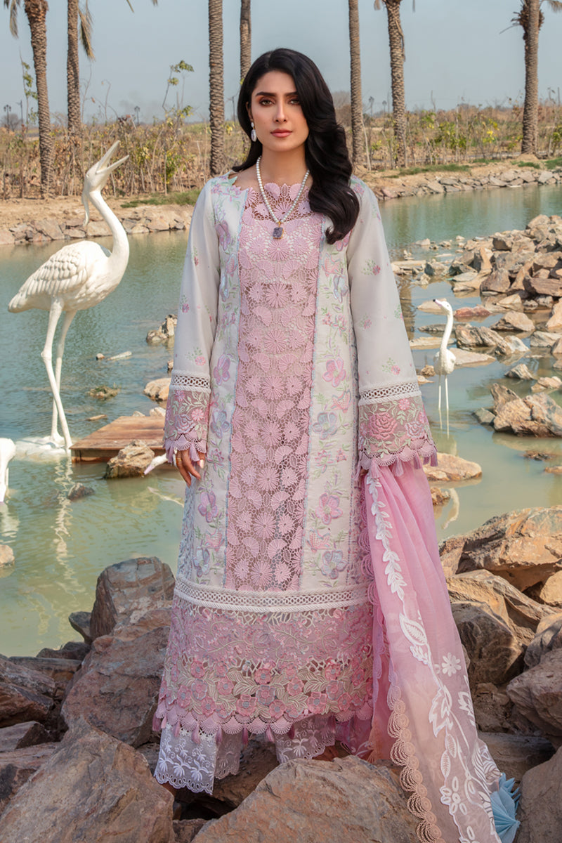 Rangrasiya | Premium Collection 24 | HOORIAN