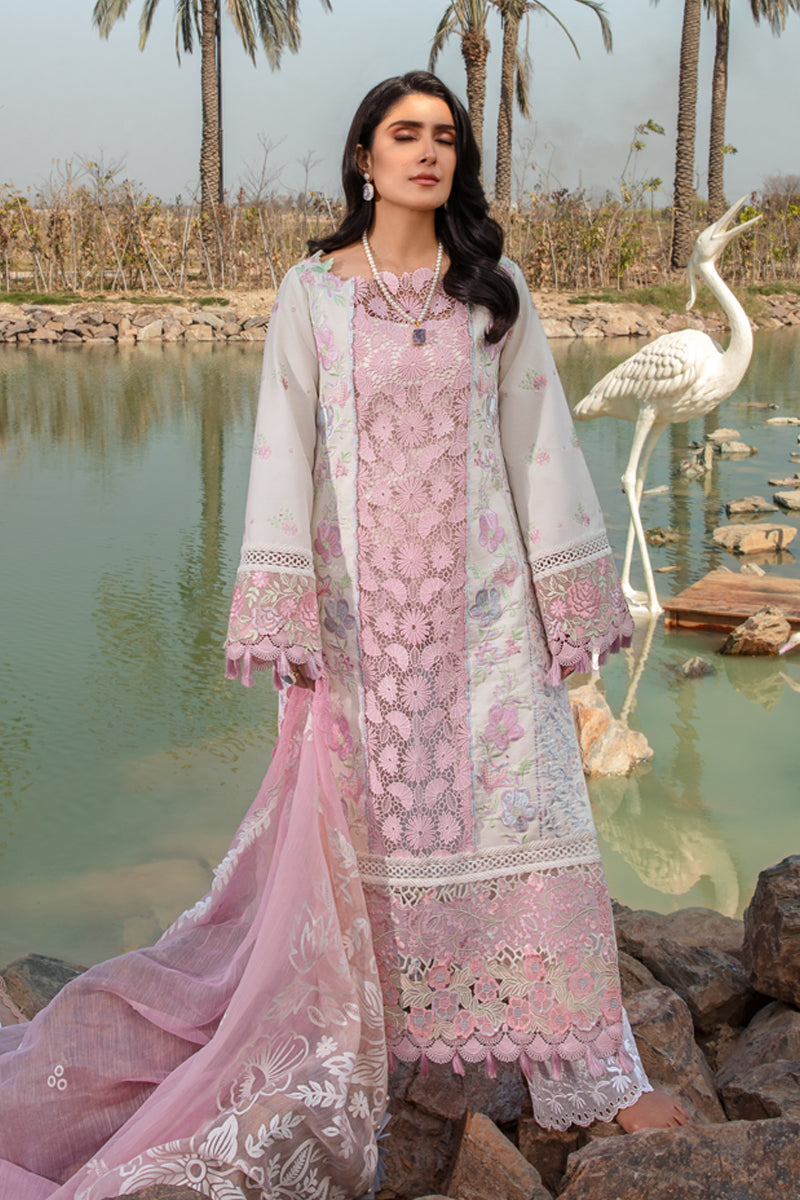 Rangrasiya | Premium Collection 24 | HOORIAN