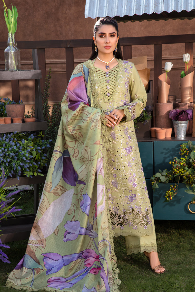 Rangrasiya | Premium Collection 24 | AYSEL
