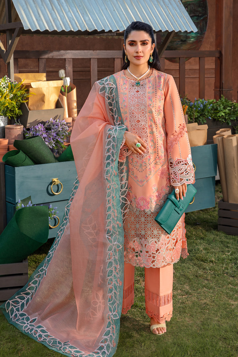 Rangrasiya | Premium Collection 24 | RANIA