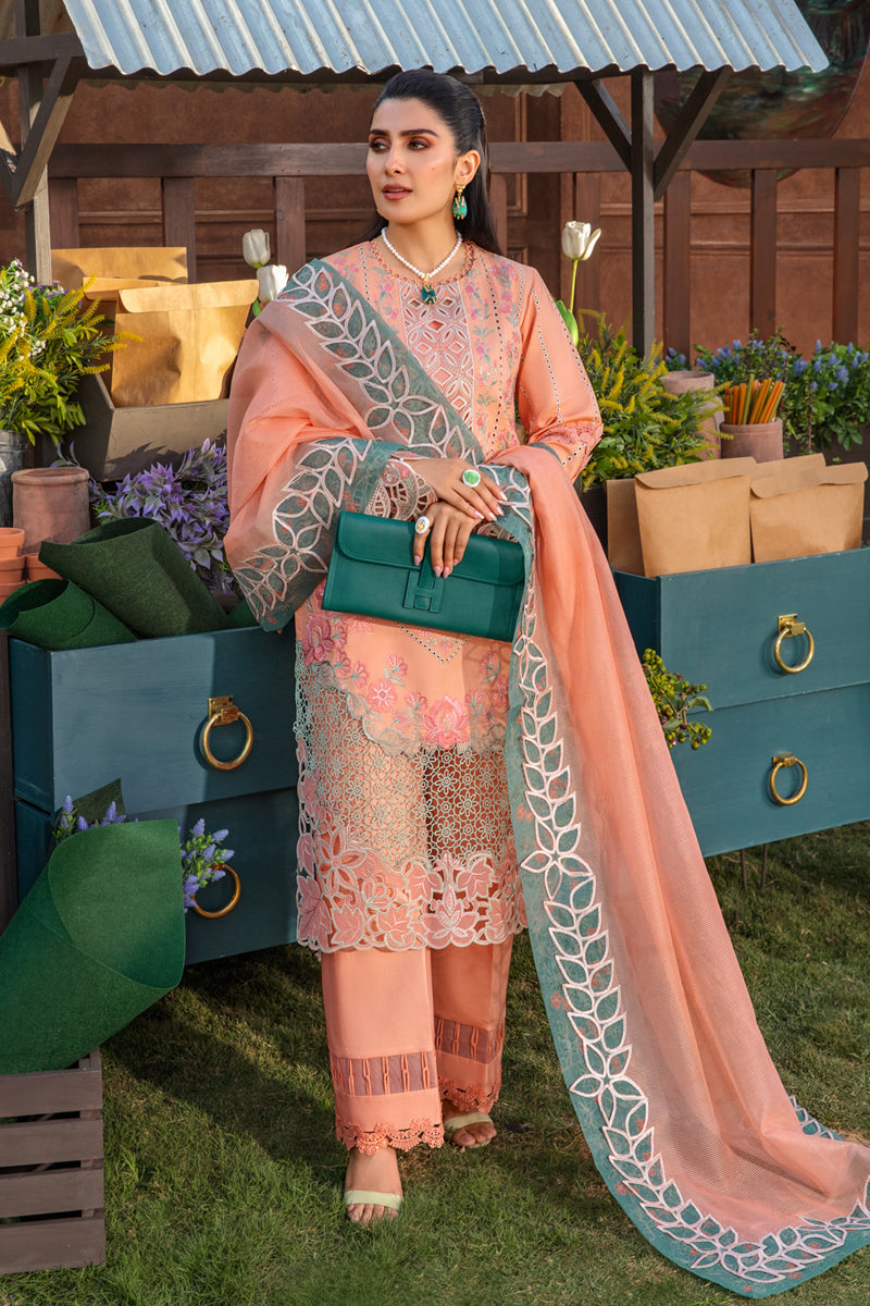 Rangrasiya | Premium Collection 24 | RANIA