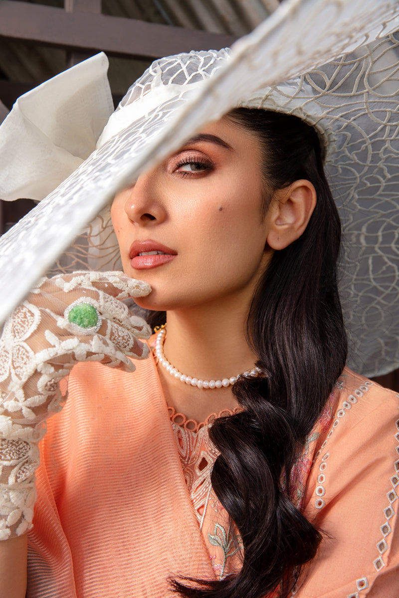 Rangrasiya | Premium Collection 24 | RANIA