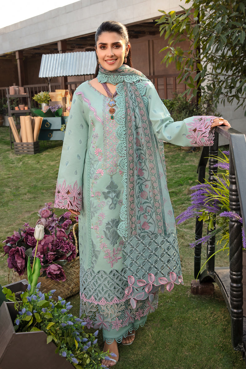 Rangrasiya | Premium Collection 24 | AMYRA