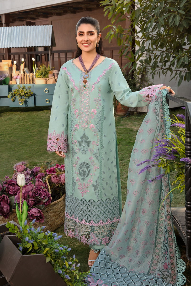 Rangrasiya | Premium Collection 24 | AMYRA