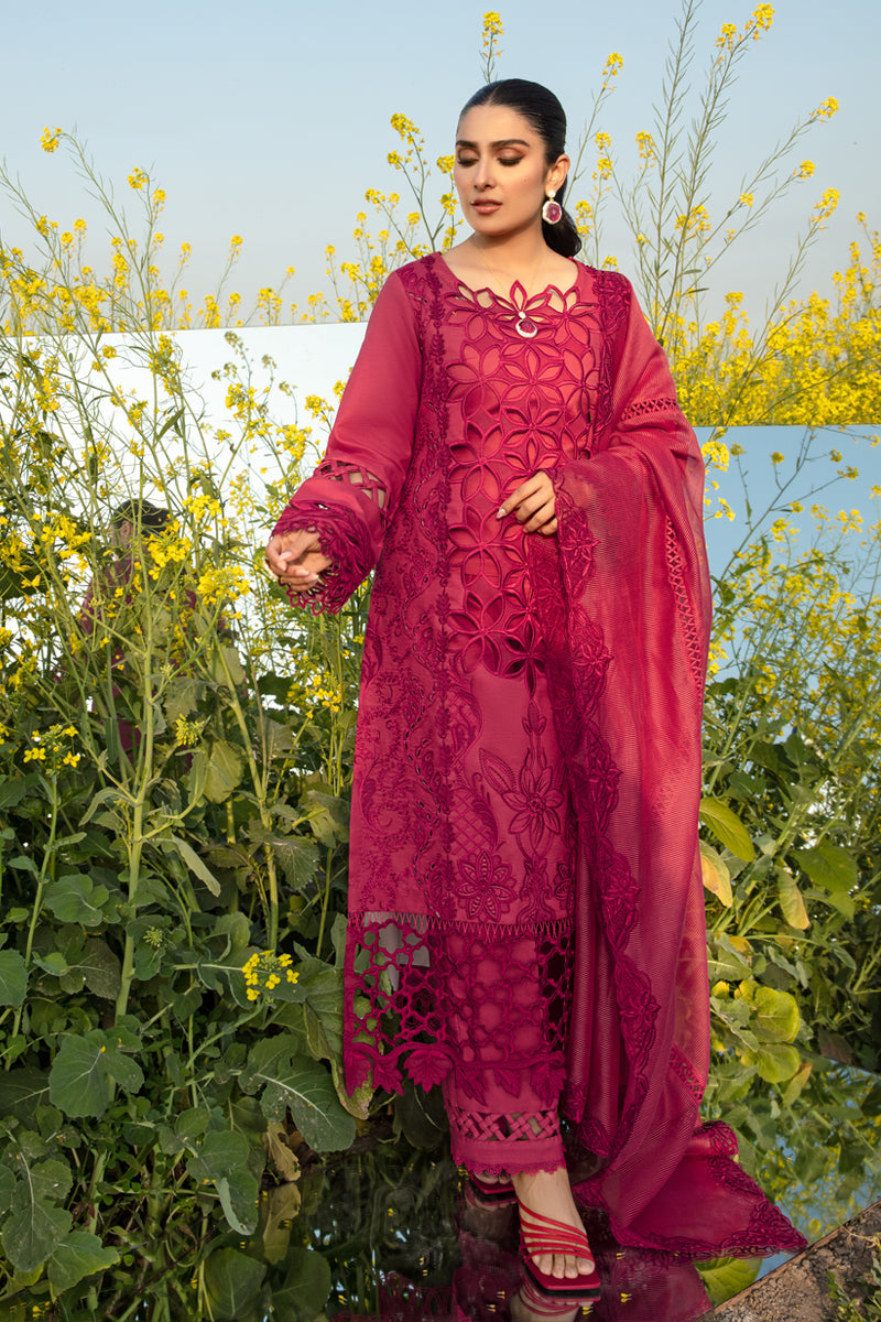 Rangrasiya | Premium Collection 24 | MAYA
