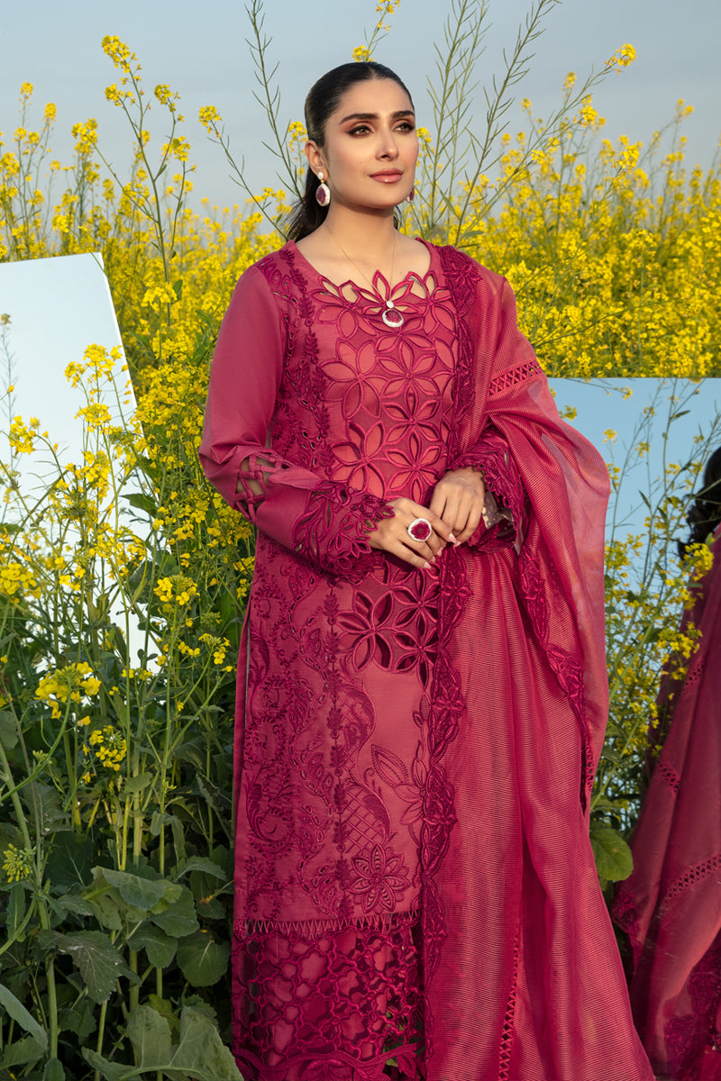 Rangrasiya | Premium Collection 24 | MAYA