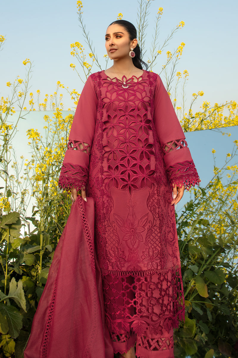 Rangrasiya | Premium Collection 24 | MAYA