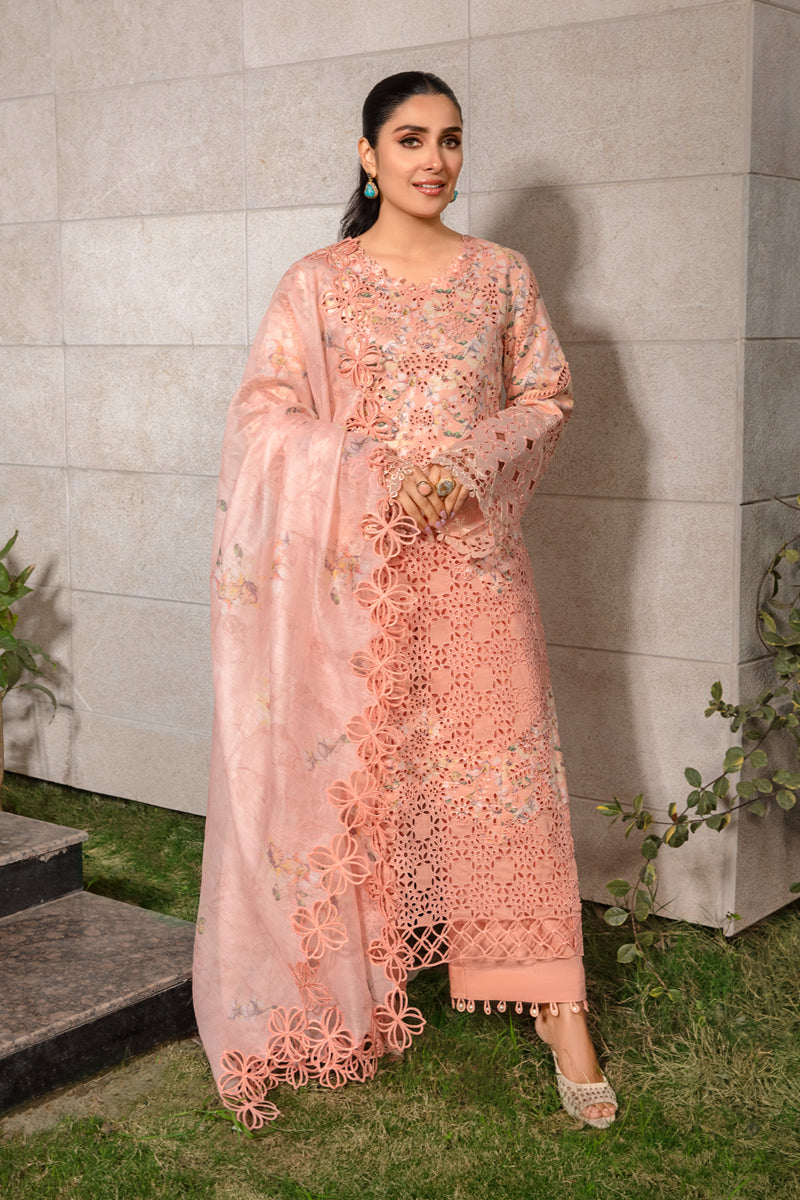 Rangrasiya | Premium Collection 24 | MAHI