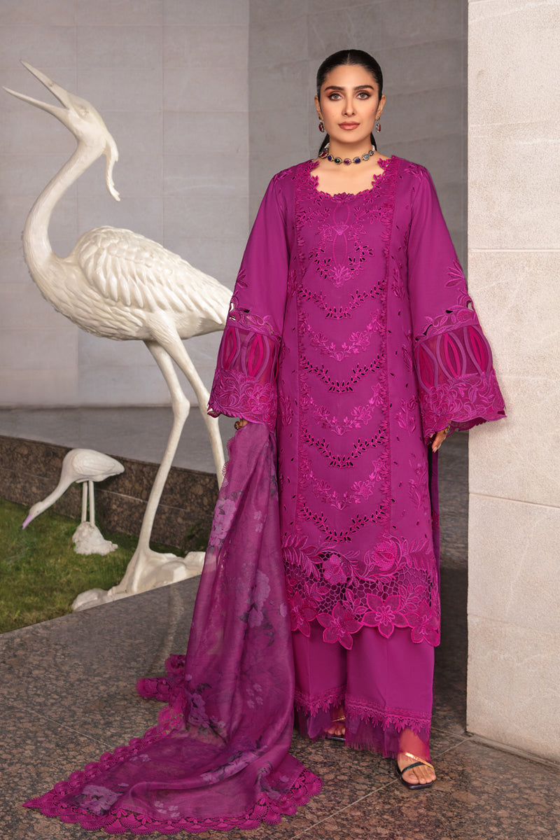 Rangrasiya | Premium Collection 24 | ZUBIYA