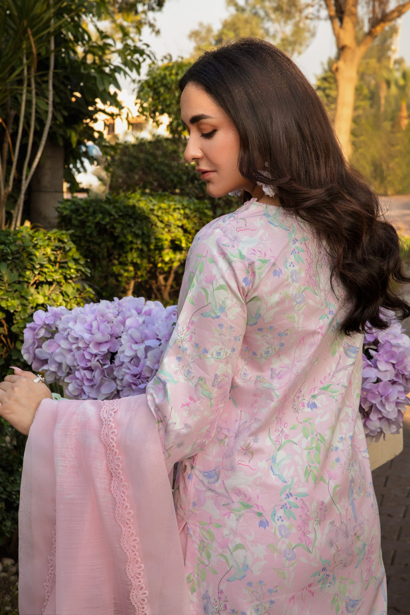 Rangrasiya | Florence Summer Edit 25 | Rania - Riwayat-e-Khas