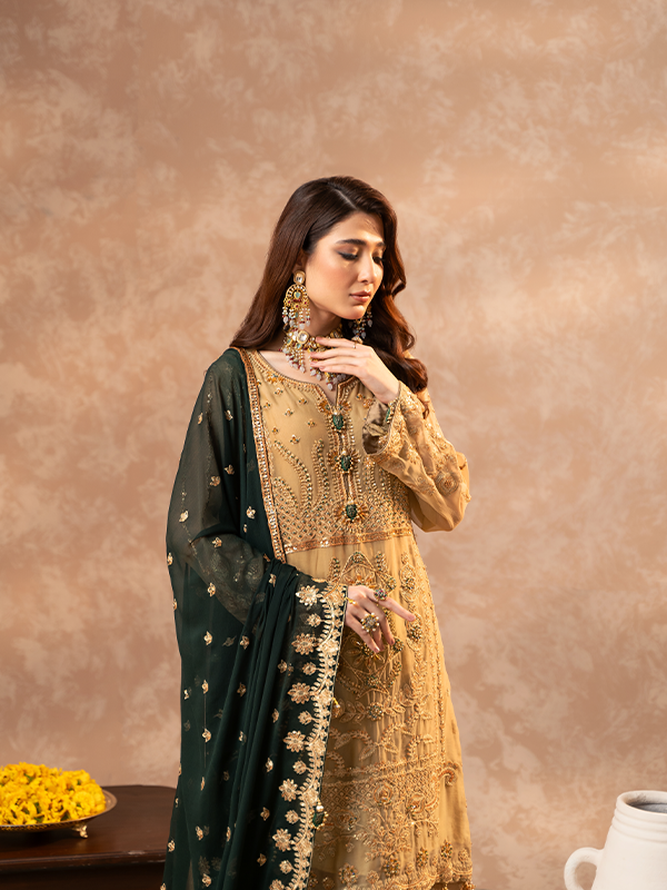 Zebtan | Zeenat Festive Collection | ZN-06 - Riwayat-e-Khas