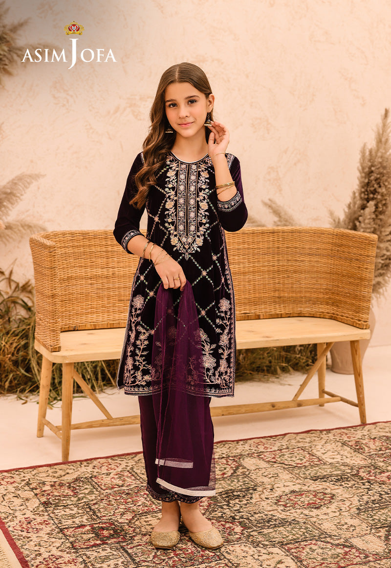 Asim Jofa | Velvet Edit | AJKV-08 - House Of Anaya