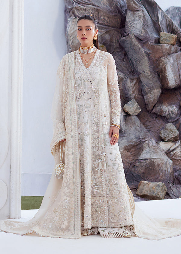 Suffuse | Freeshia Formal | YASNA