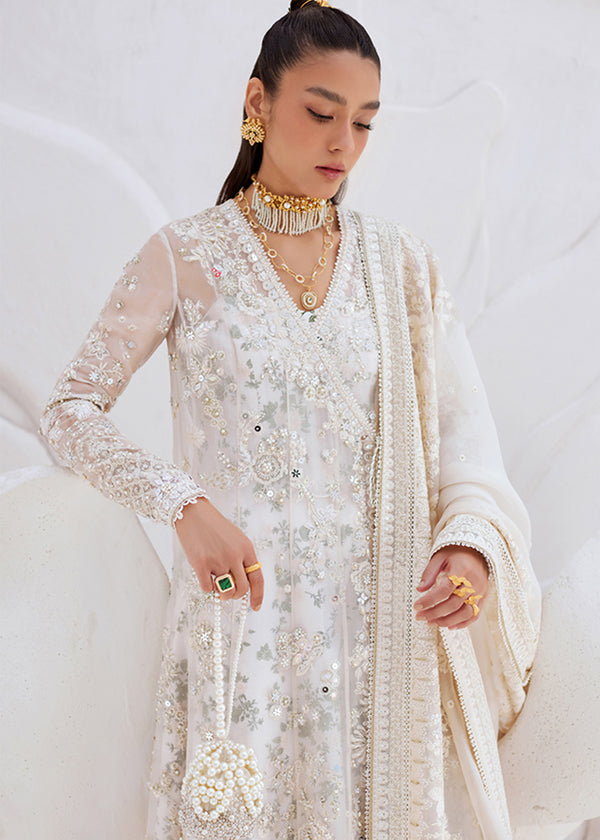 Suffuse | Freeshia Formal | YASNA