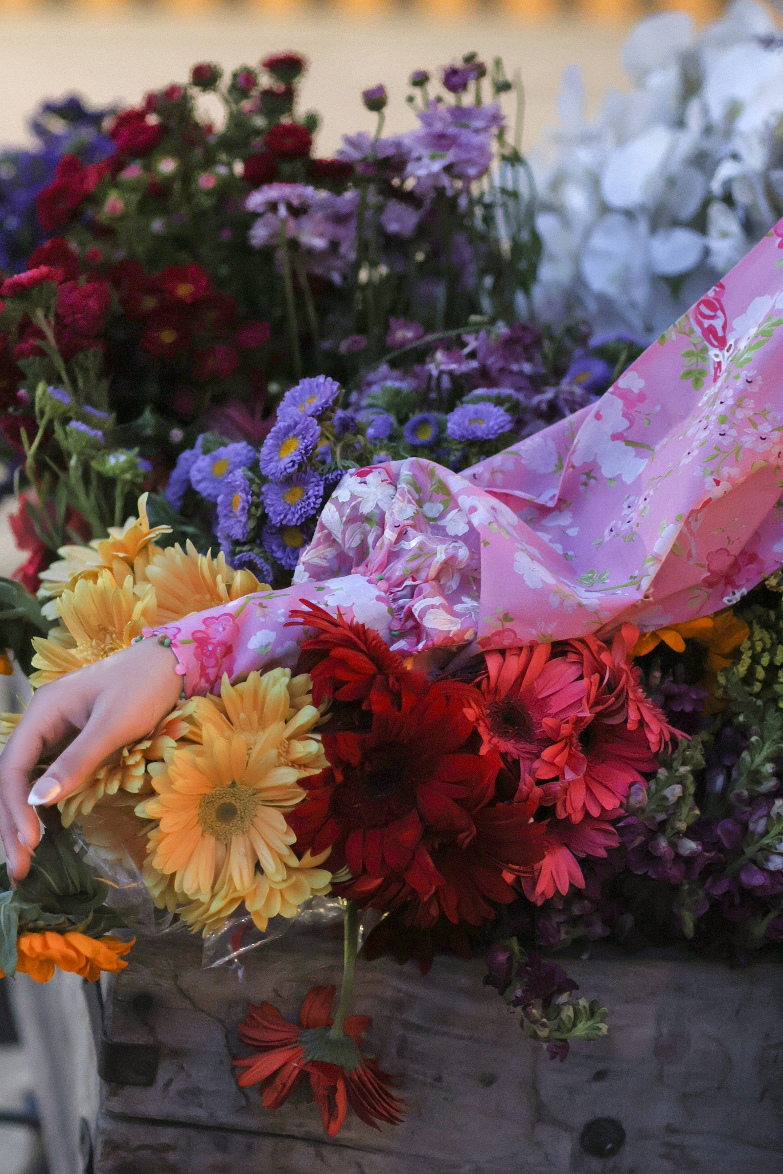 Zaha | Zaha Festive Lawn'26 | PEONY REVERIE