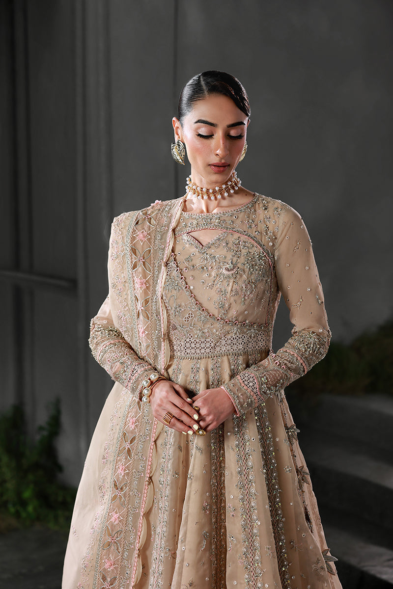 Qalamkar | Elirah Formals 25 | MF-01 LUSTRA