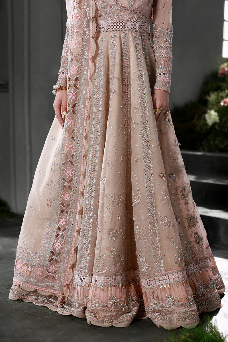 Qalamkar | Elirah Formals 25 | MF-01 LUSTRA