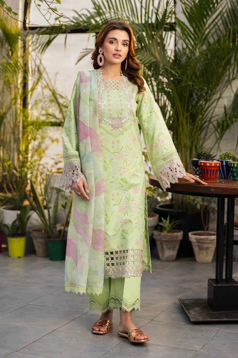 Rangrasiya | Lifestyle Summer Edit 25 | Rosemary