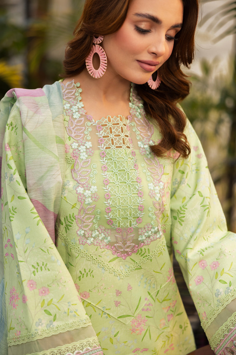 Rangrasiya | Lifestyle Summer Edit 25 | Rosemary