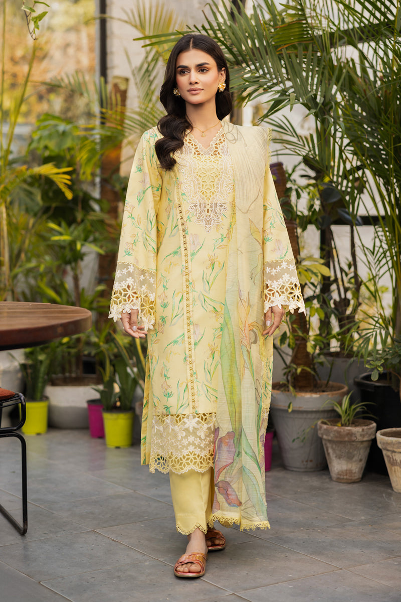 Rangrasiya | Lifestyle Summer Edit 25 | Olivine