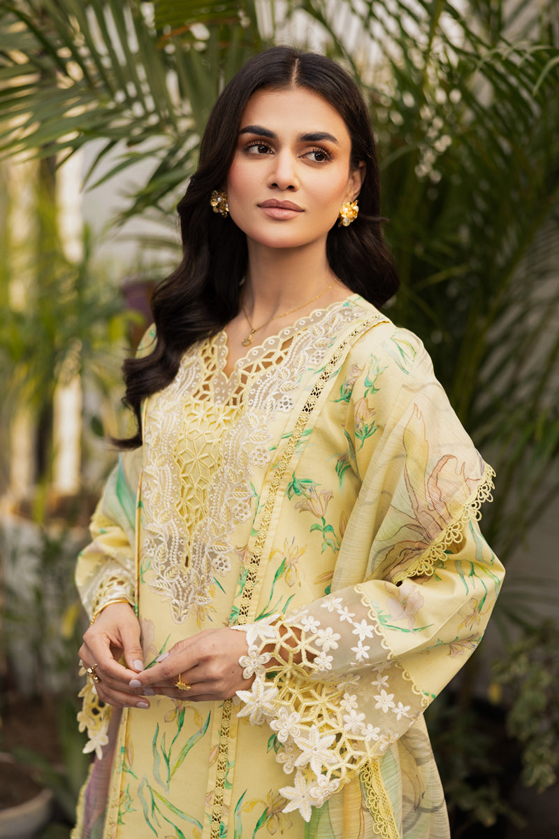 Rangrasiya | Lifestyle Summer Edit 25 | Olivine