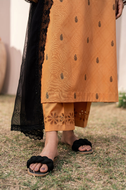 Baroque | Luxury Pret 24 | JACQUARD LAWN UF-613 - House Of Anaya