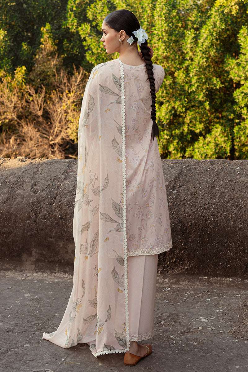 Cross Stitch | Premium Lawn 24 | SILVER PEONY - House Of Anaya