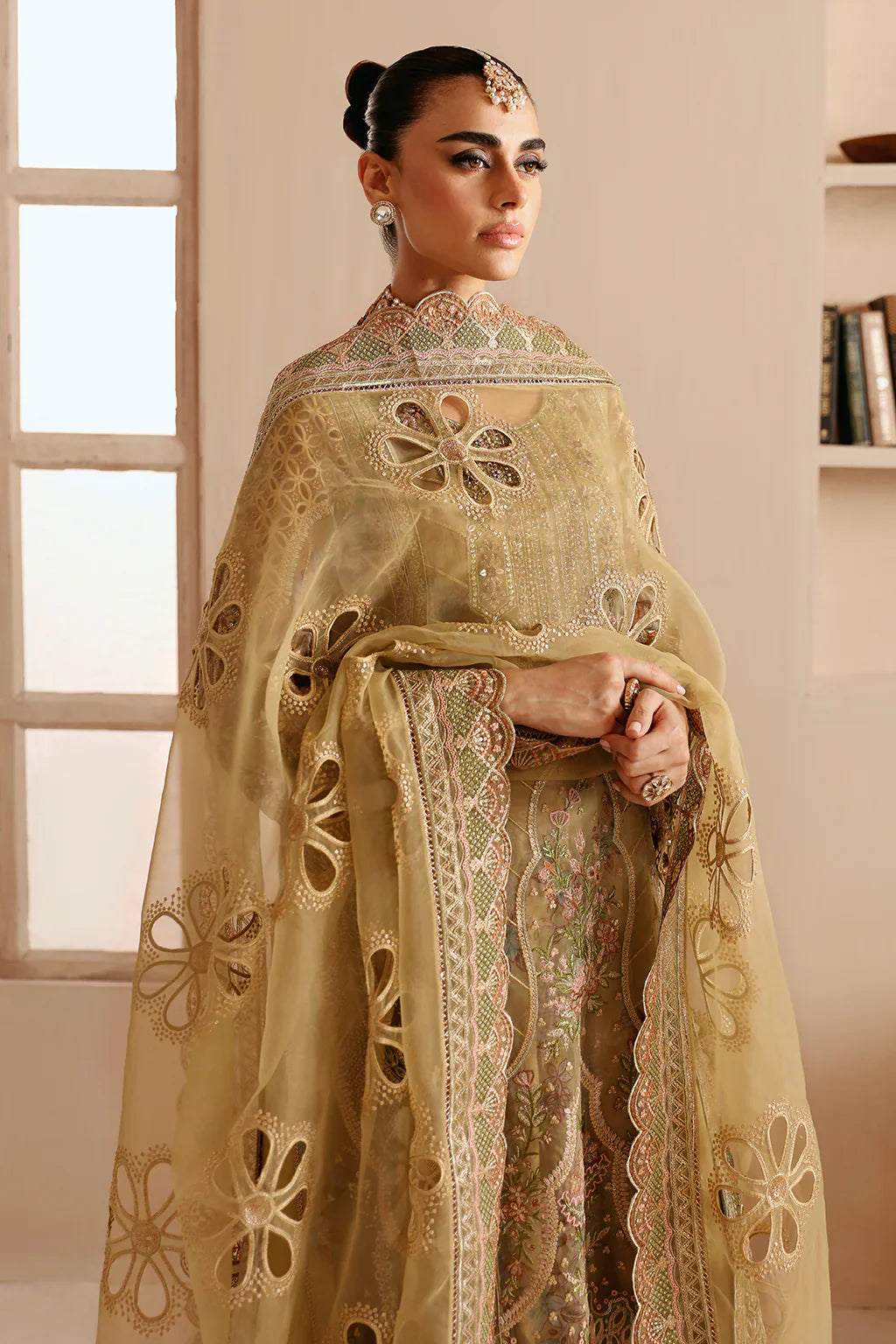 Ramsha | Ramsha Festive | E-205