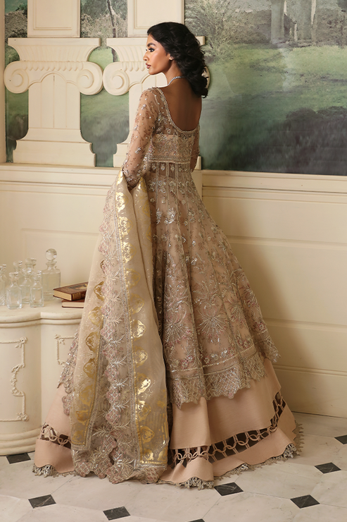 Nyra | Wedding Festive 24 | Dahlia - Riwayat-e-Khas