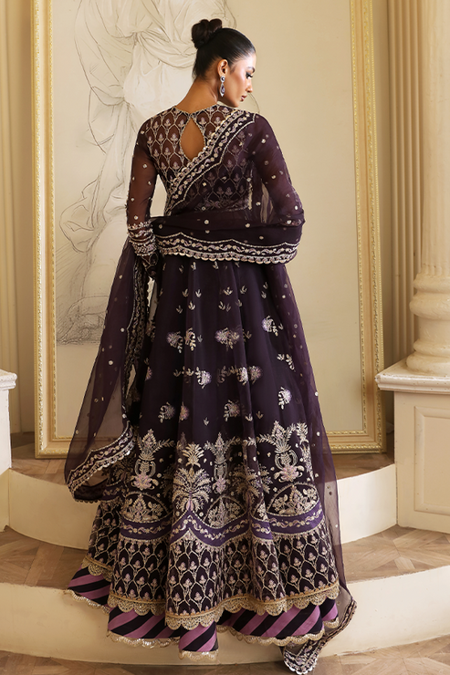 Nyra | Wedding Festive 24 | Evolet - Riwayat-e-Khas