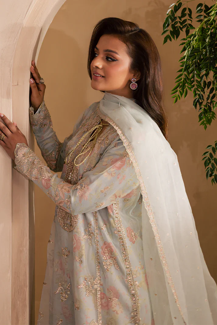 Emaan Adeel | Celine Collection | Arghawani