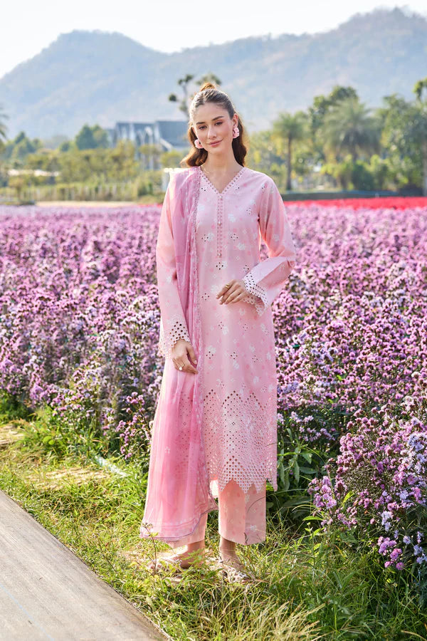 Farasha | Printed Essentials’26 | Pink Serenity
