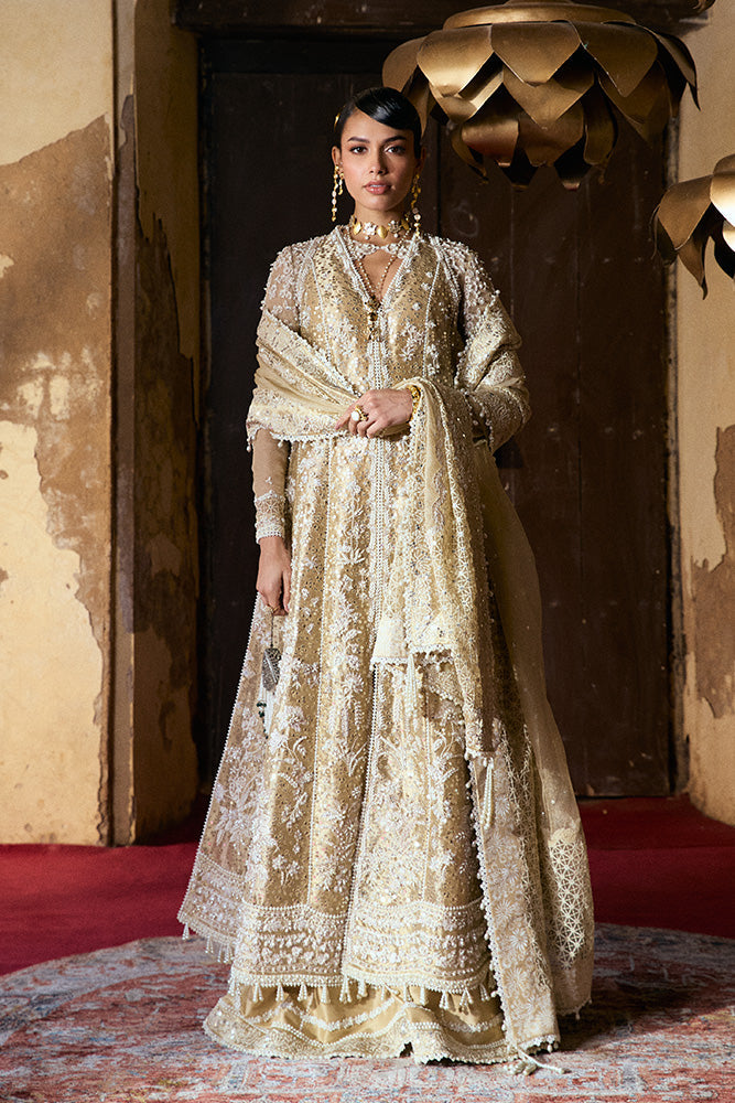 Suffuse | Freeshia Wedding Formals | GULRAIZ